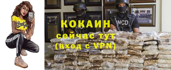 Альфа ПВП Артём