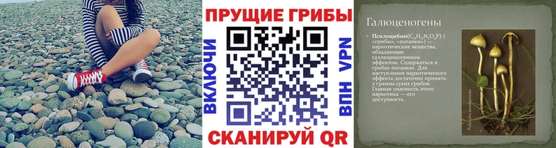 Псилоцибиновые грибы MAGIC MUSHROOMS Белорецк