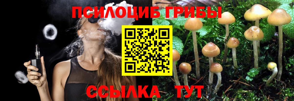 Белорецк  Псилоцибиновые грибы мухоморы  Псилоцибиновые грибы мицелий  Вход с VPN 